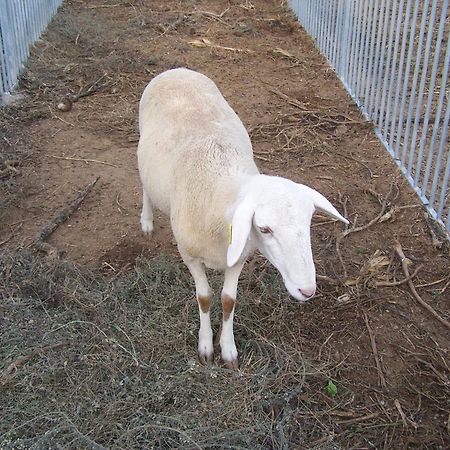 Centro De Agroecologia Y Medio Ambiente De Murcia Бульяс Екстер'єр фото
