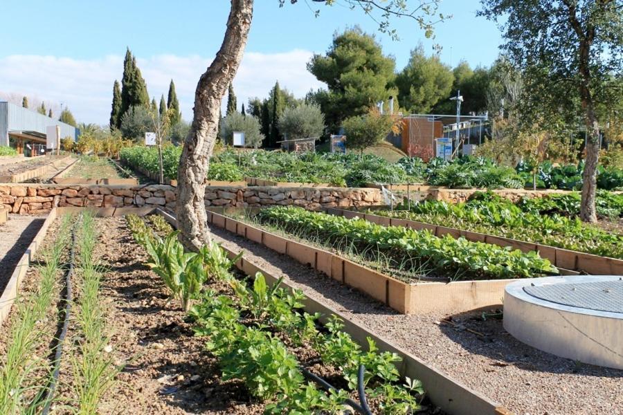 Centro De Agroecologia Y Medio Ambiente De Murcia Бульяс Екстер'єр фото
