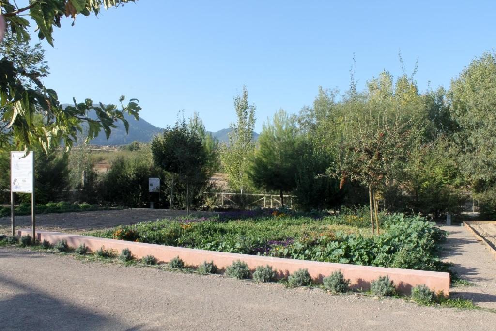 Centro De Agroecologia Y Medio Ambiente De Murcia Бульяс Номер фото