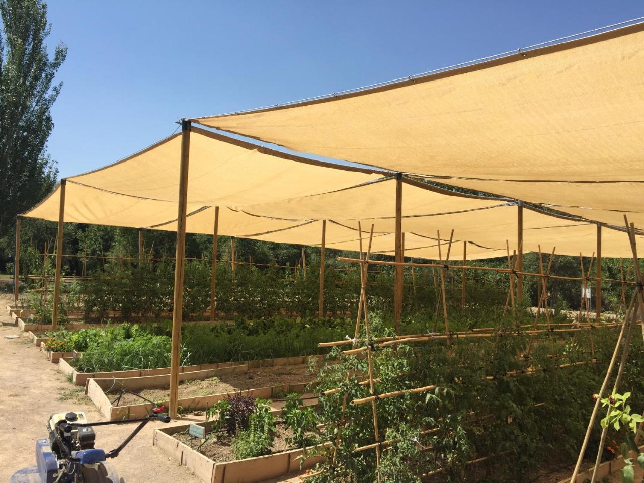Centro De Agroecologia Y Medio Ambiente De Murcia Бульяс Екстер'єр фото