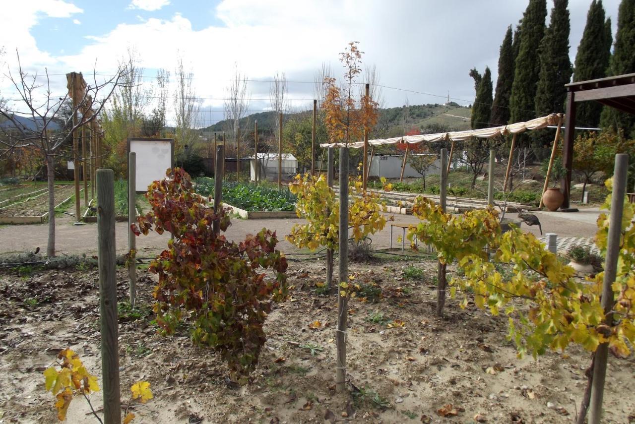 Centro De Agroecologia Y Medio Ambiente De Murcia Бульяс Екстер'єр фото
